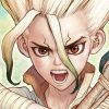 dr stone