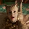 film cats