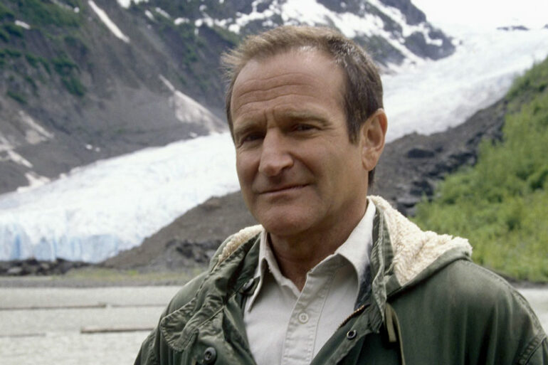 robin williams insomnia villain