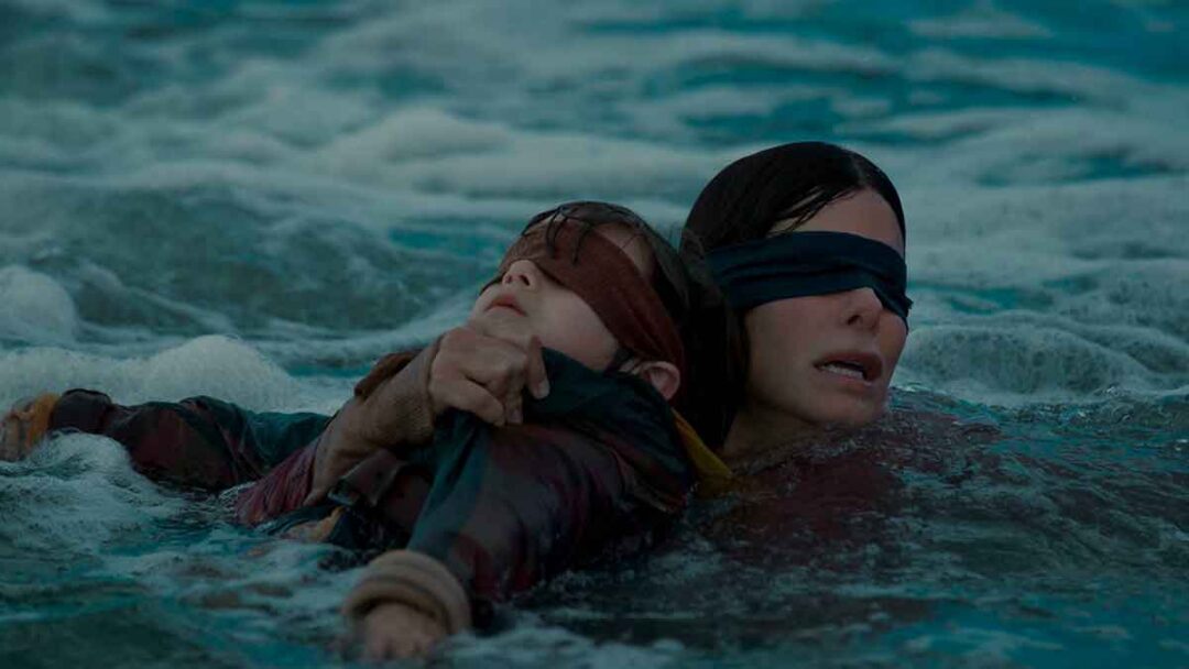 film bird box di netflix