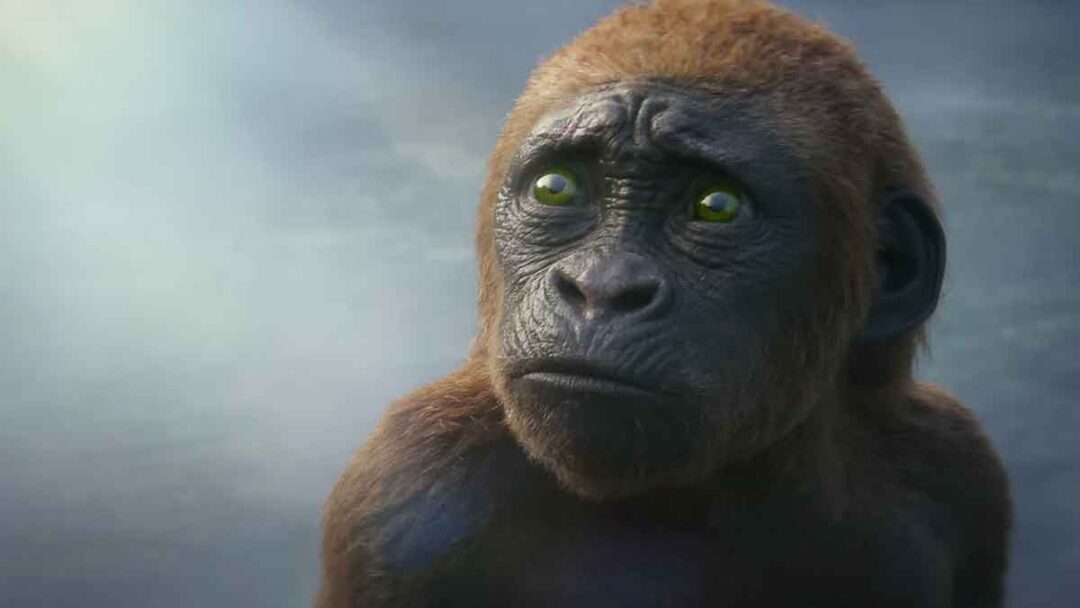 suko di film godzilla x kong