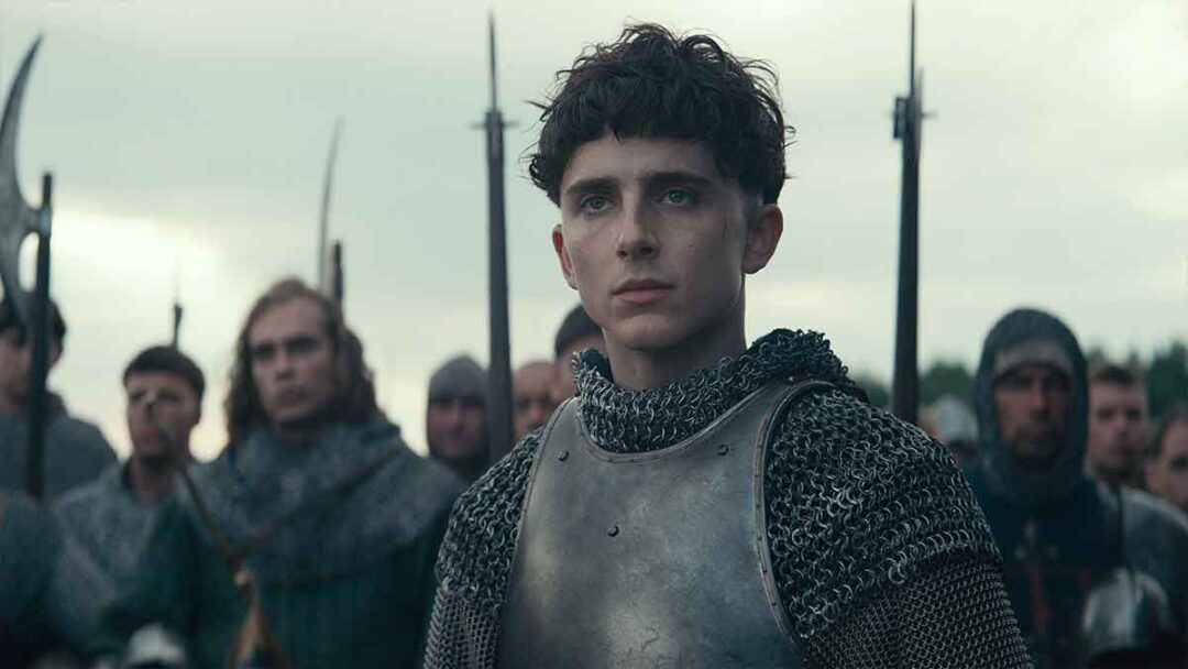 gambar timothee chalamet di film the king