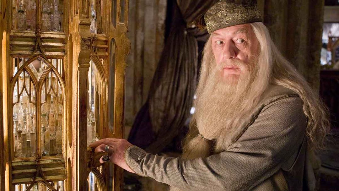 salah satu karakter harry potter, albus dumbledore