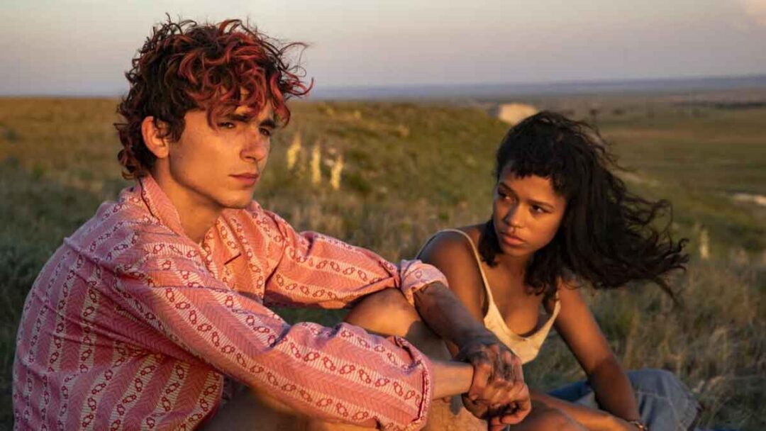 timothee chalamet di film Bones and All (2022)