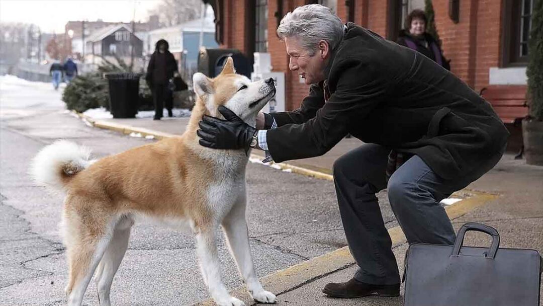 adegan di film anjing terbaik, hachi a dog's tale