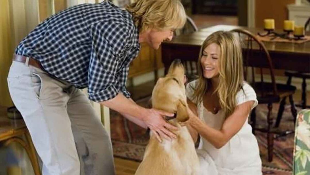 adegan film marley and me
