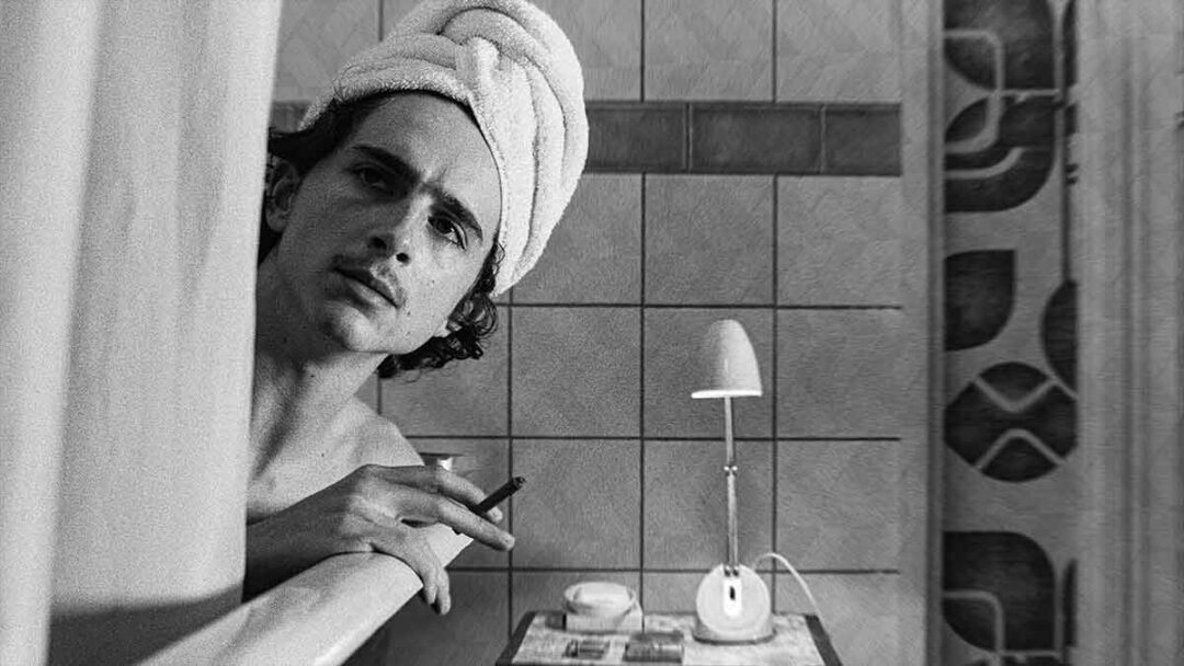 timothee chalamet di film The French Dispatch (2021)