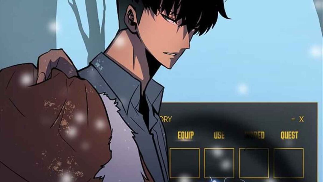 sung jin woo sihir subspace