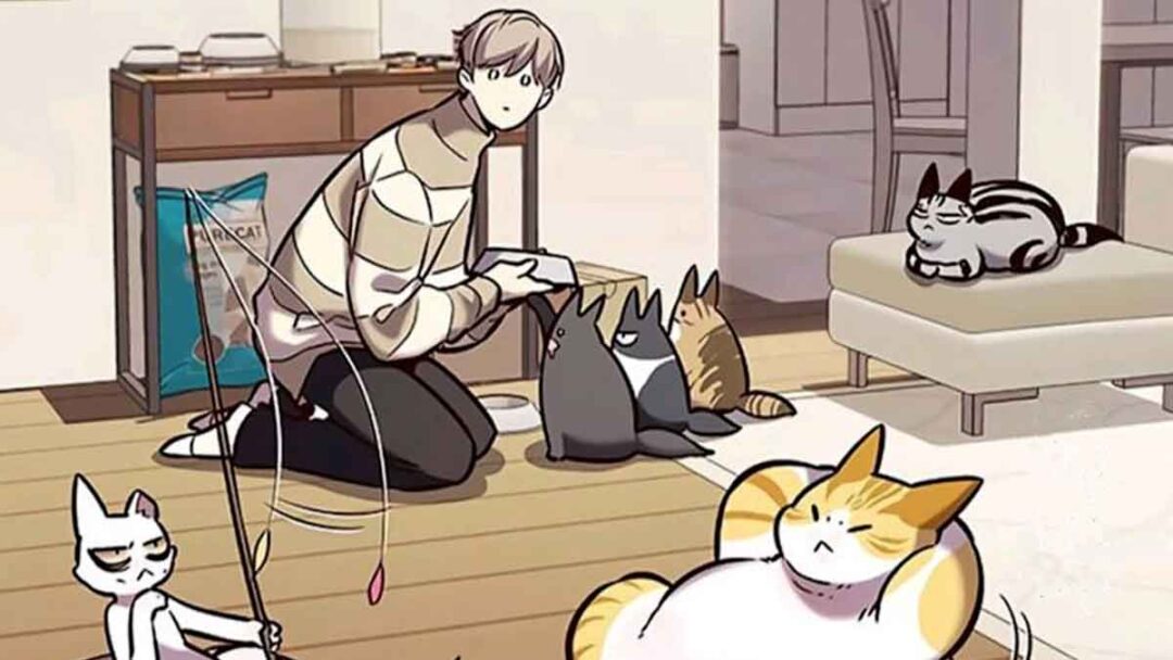 seo jiwoo kasih makan kucing di komik eleceed