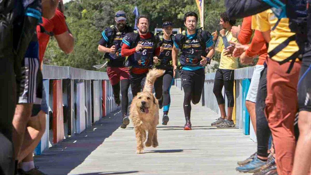 adegan film anjing Arthur The King