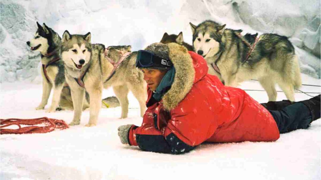 adegan film Eight Below