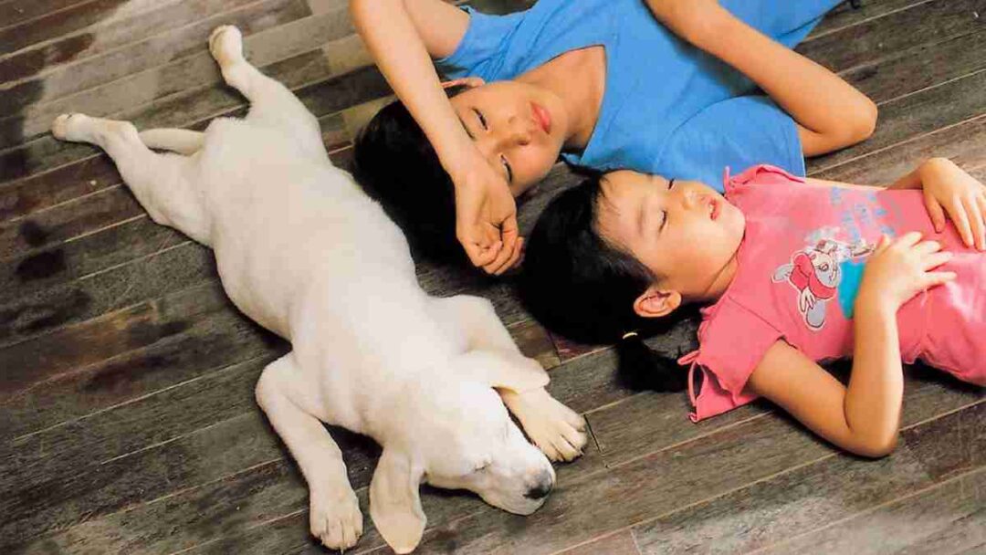 adegan film Hearty Paws 