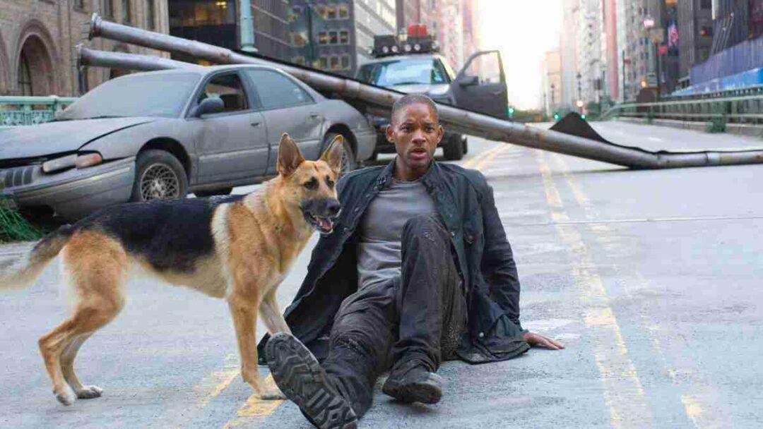 film i am legend