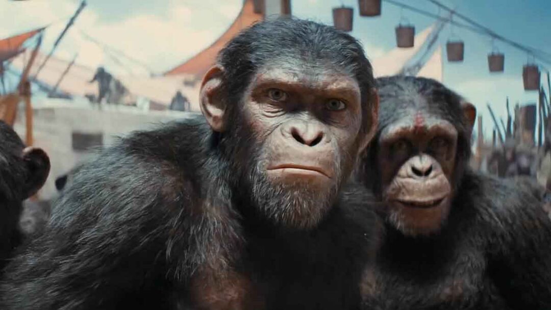 adegan film Kingdom of the Planet of the Apes