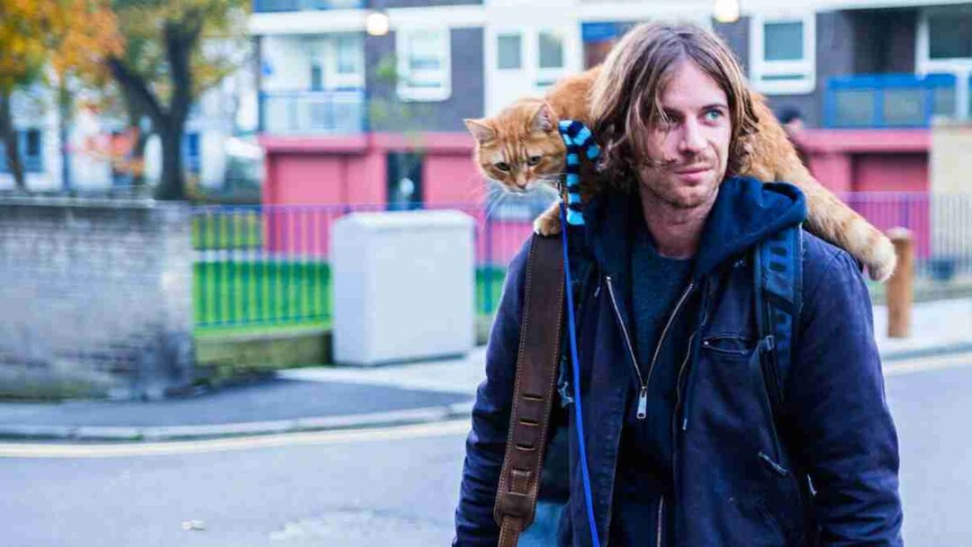 film A Street Cat Named Bob 2016