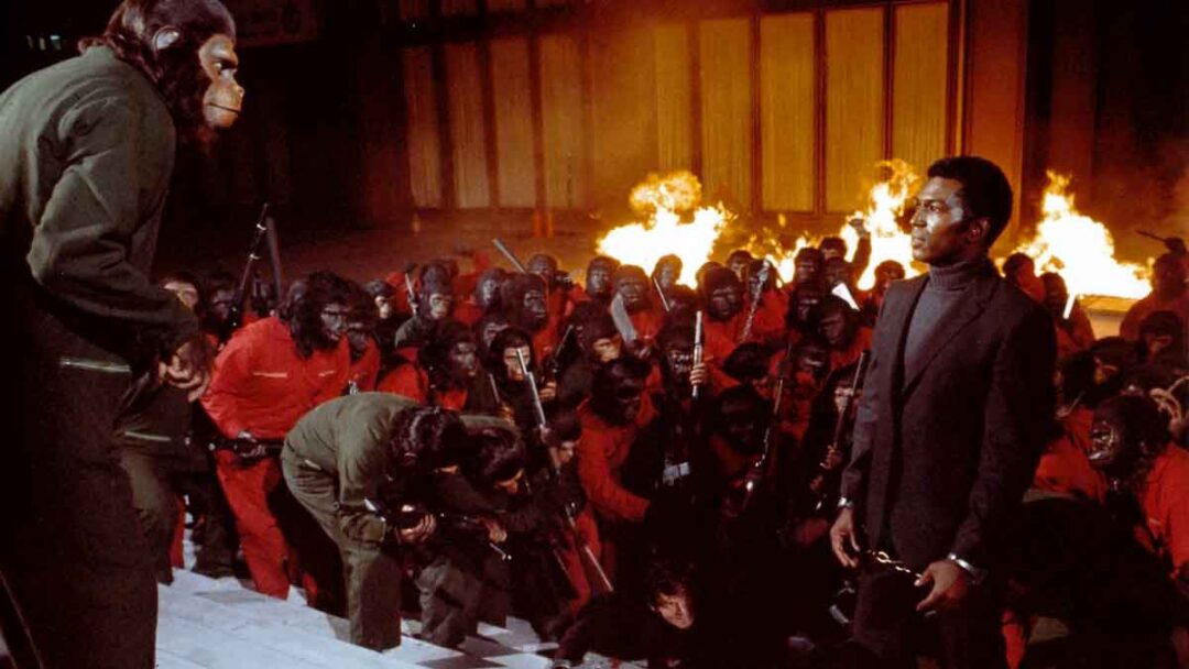 adegan film Conquest of the Planet of the Apes (1972)