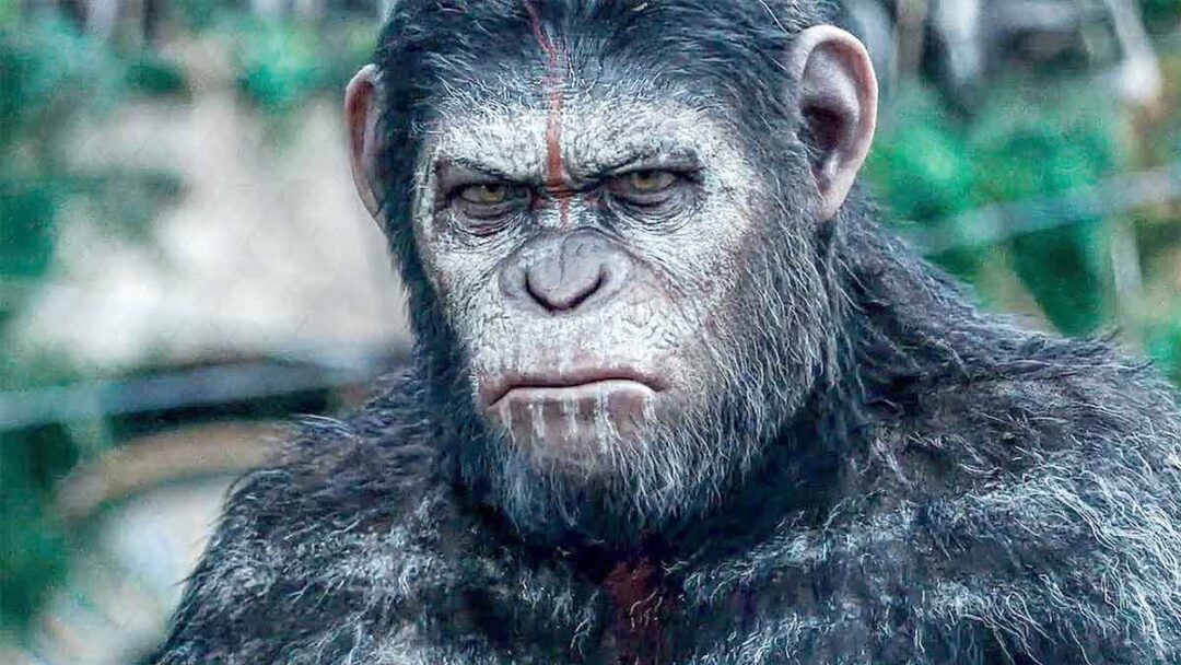 adegan film Dawn of the Planet of the Apes (2014)