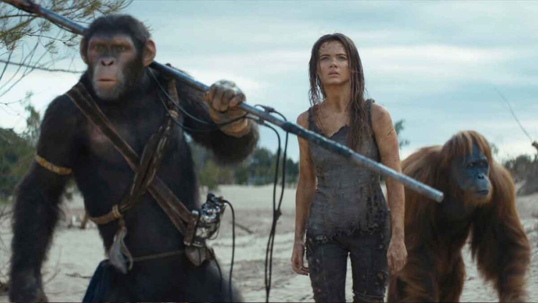 gambar adegan dari film Kingdom of the Planet of the Apes