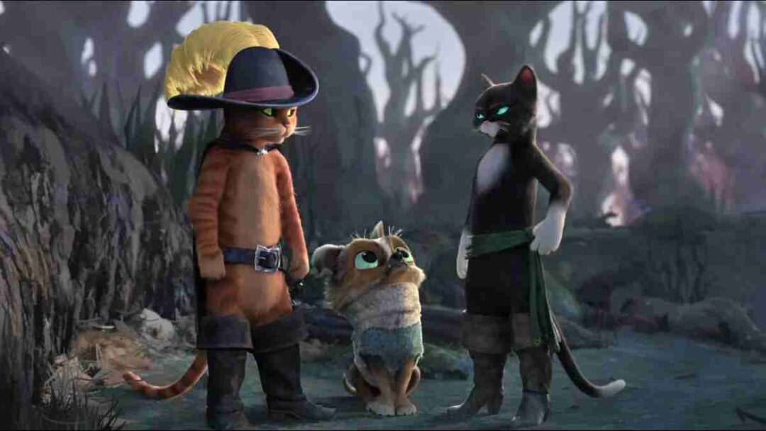film Puss in Boots: The Last Wish (2022)