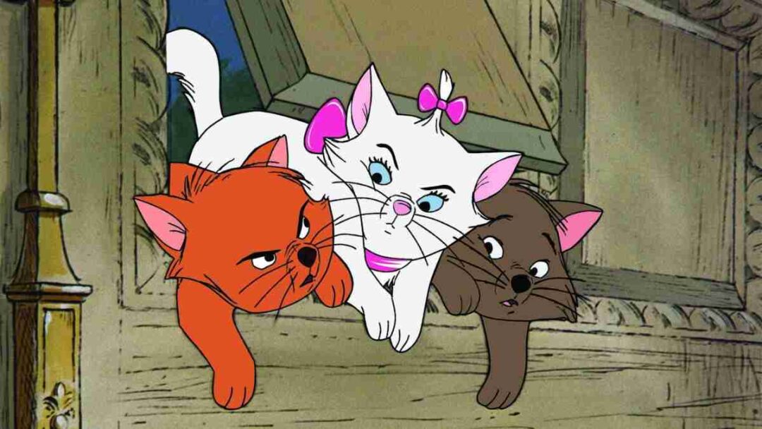 film kucing berjudul the aristocrats