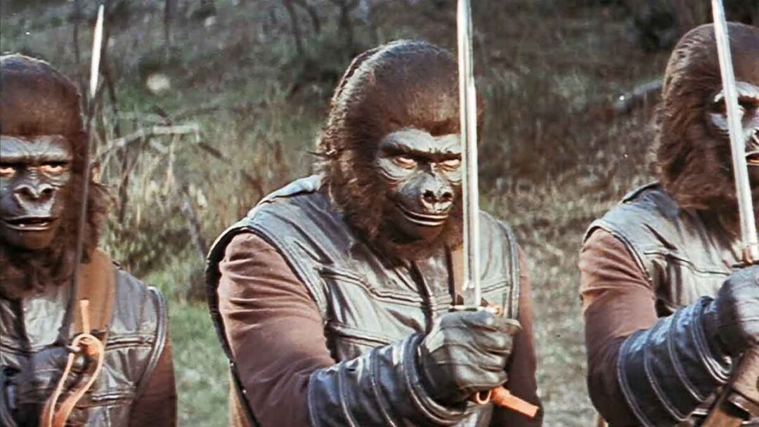 adegan film Battle for the Planet of the Apes (1973)