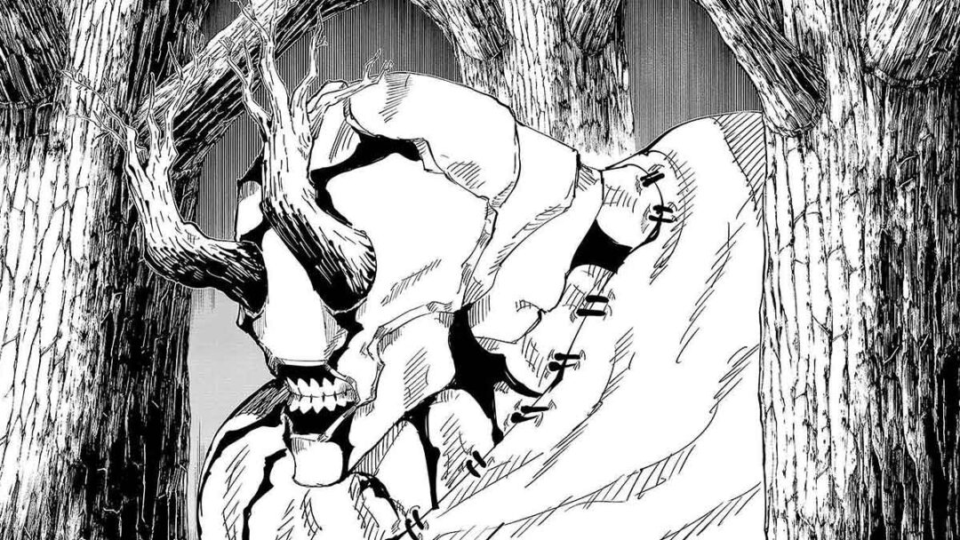 hanami, dari jujutsu kaisen