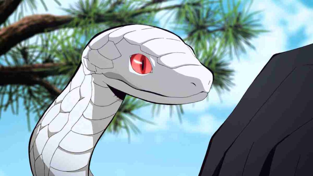 kaburamaru, ular obanai iguro