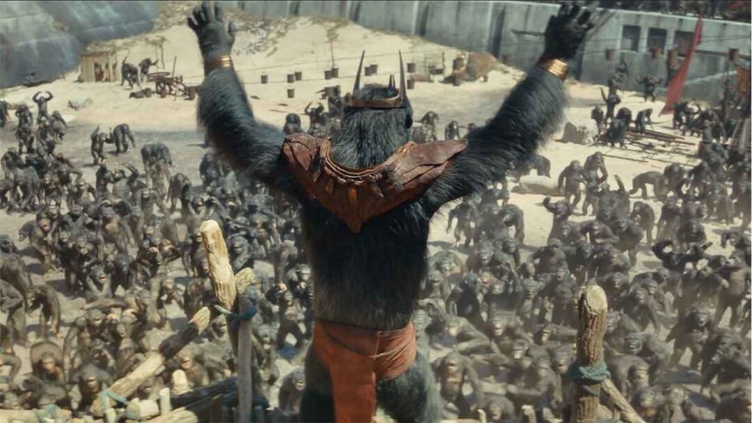 adegan proximus di film Kingdom of the Planet of the Apes