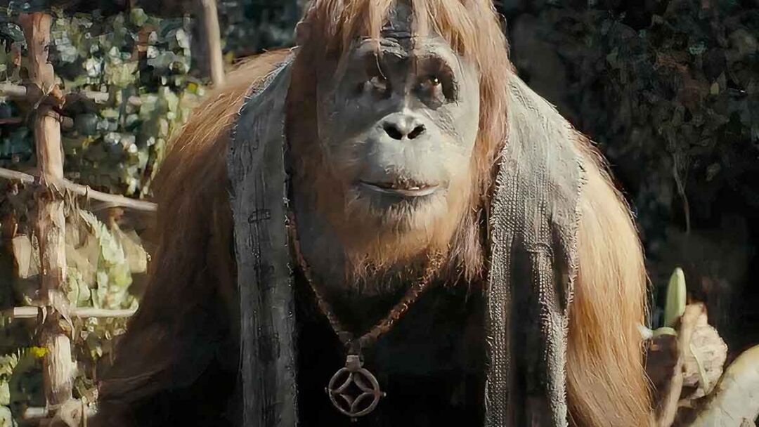 raka di film  Kingdom of the Planet of the Apes
