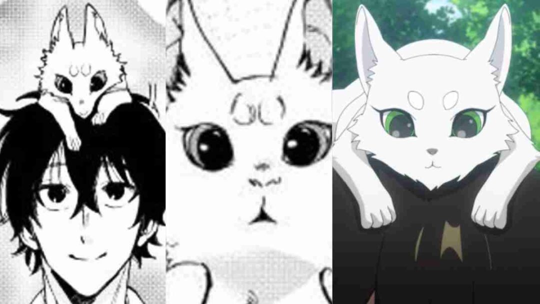 yuzuha manga vs anime the new gate