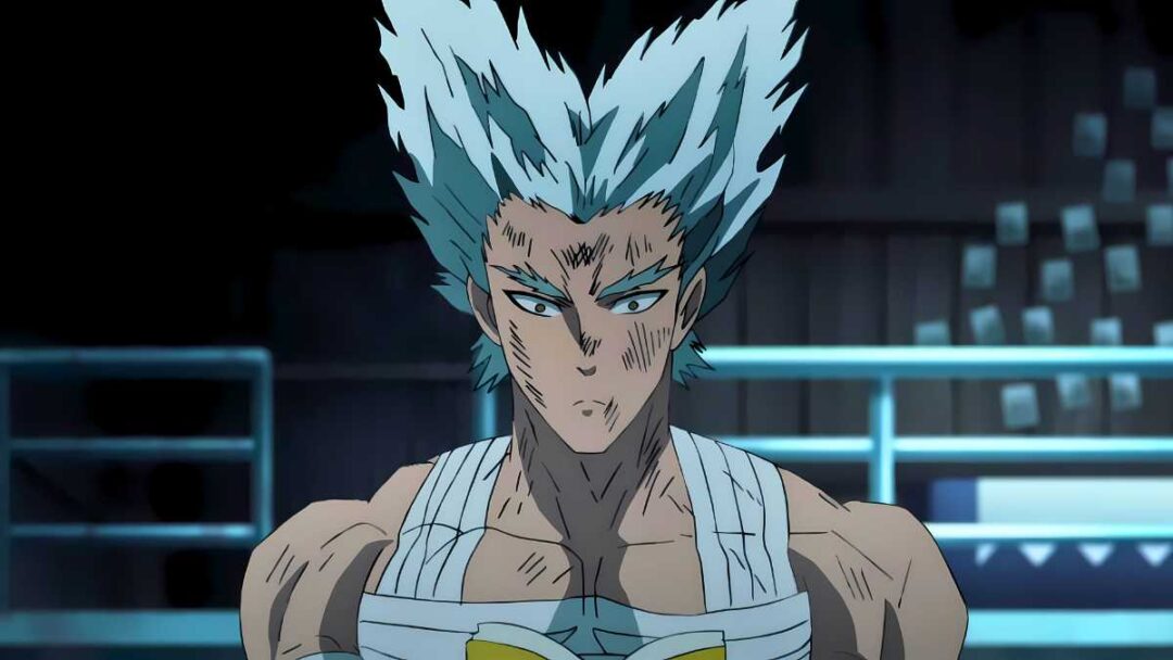 gambar karakter garou dari anime one punch man