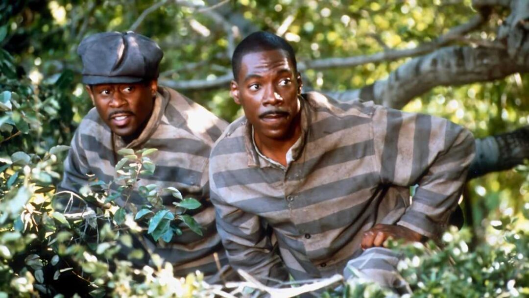 gambar martin lawrence dan eddie murphy di film Life