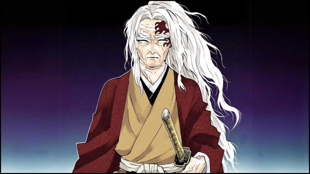 gambar yoriichi tsugikuni sudah tua